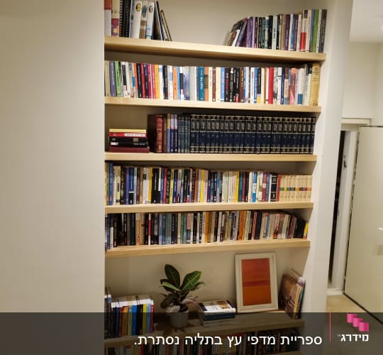 מדפי עץ מלאים בספרים, מדף בנוי היטב